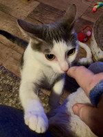 /album/14-12-2025/whatsapp-image-2025-12-14-at-21-04-57-jpeg/